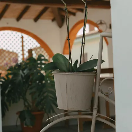 Domu Elvira 4* Muravera