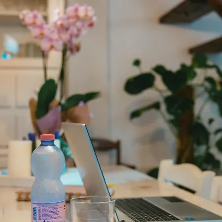 Domu Elvira Muravera