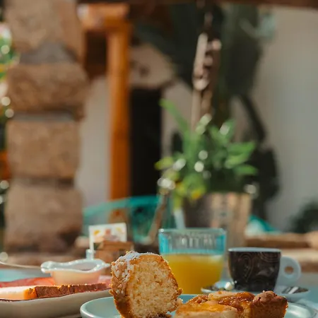 Domu Elvira Guest house