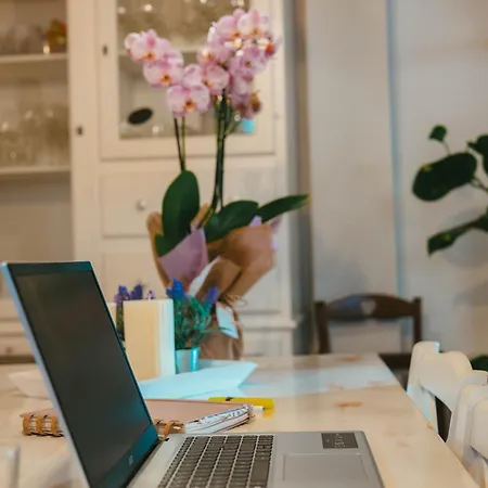 Domu Elvira Muravera