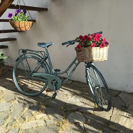 Domu Elvira Gasthof Muravera