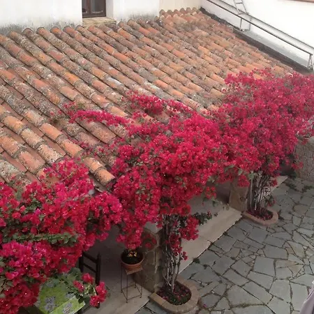 Domu Elvira Gasthof 4*