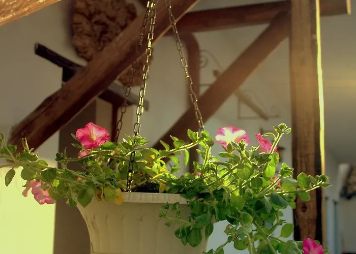 Domu Elvira Pensión 4*