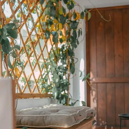 Domu Elvira Muravera