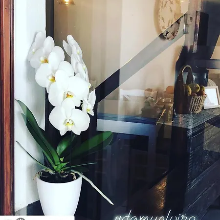 Domu Elvira ゲストハウス